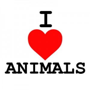 I love all animals!