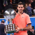 Juan Martin del Potro won his first title in 33 months in Stockholm. Photo: Getty Images